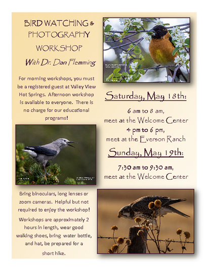 Bird & Photography Workshop 2019 poster